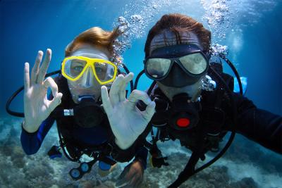 Common Hand Signals for Scuba Diving