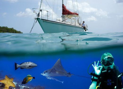 Antigua Scuba School