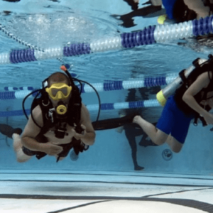 Alpha Divers