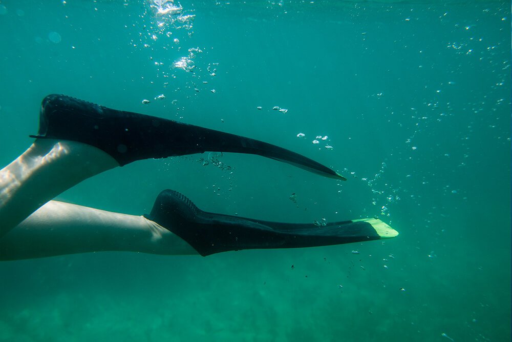 Snorkeling Fins Vs Scuba Fins What's The Difference?, 42 OFF
