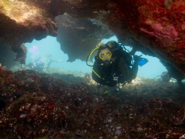 Davy Jones Diving