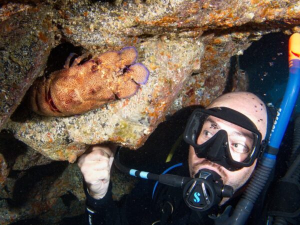 Davy Jones Diving