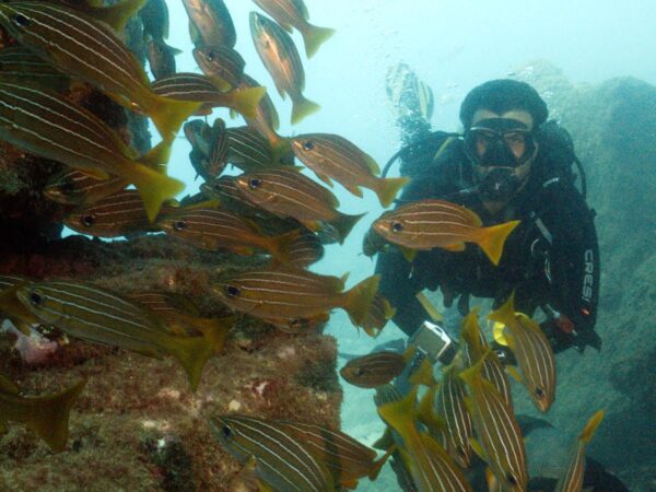 Davy Jones Diving