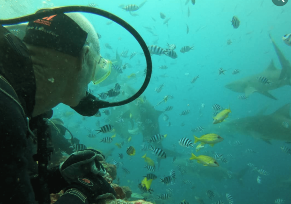 Whitetip Marine Adventures