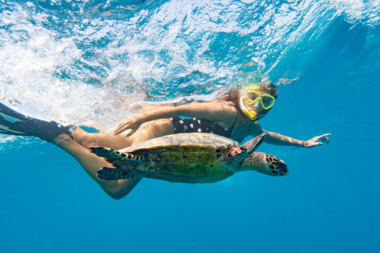 Snorkeling with sea turtle