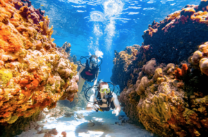 Saint Lucia Scuba Diving