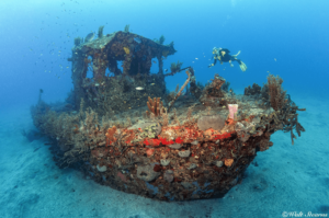 St Eustatius Dive