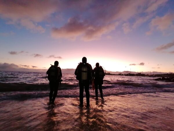Dive Team