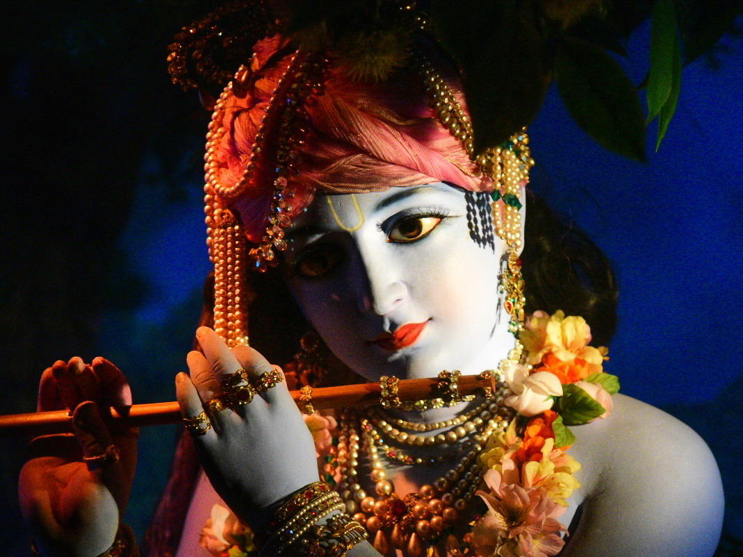 The Krishna Experience Featured Image