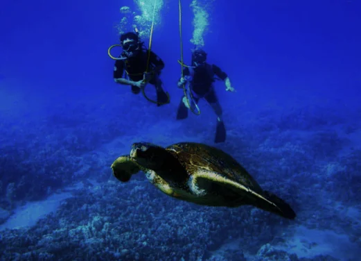 Scuba Caribe Negril