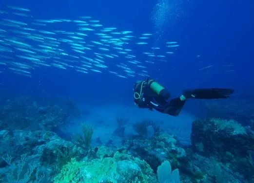 Serial Divers
