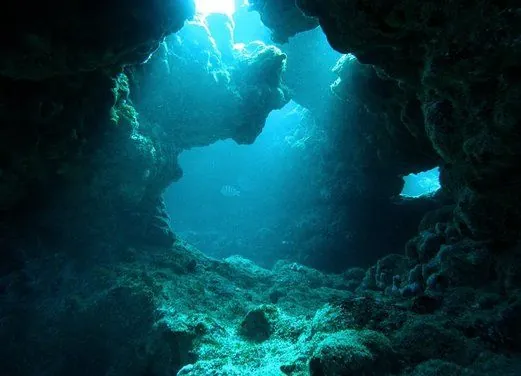 St. Barth Plongee - Birdy Dive Center