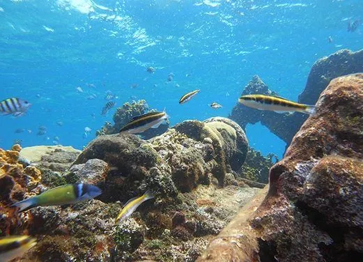 Corn Island Dive Center