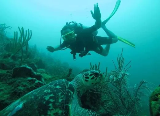 Undersea Tobago Ltd