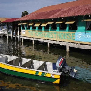 Scuba 6 Eco Diving