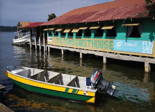 Scuba 6 Eco Diving