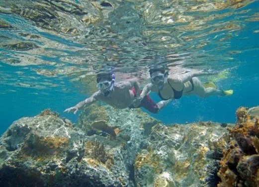 Fantasea Dive and Watersports