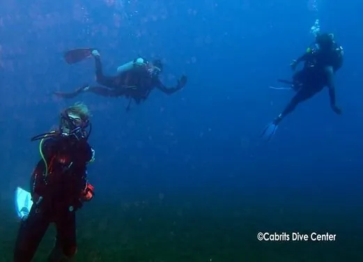Cabrits Dive Center
