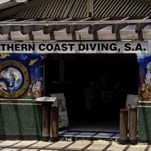 Northern Coast Diving