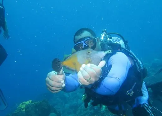 Action Adventure Divers