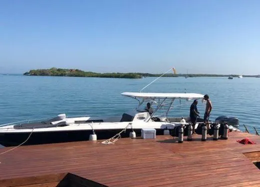 Paraiso Dive Cartagena