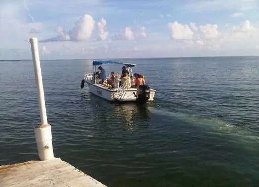 Divers Down