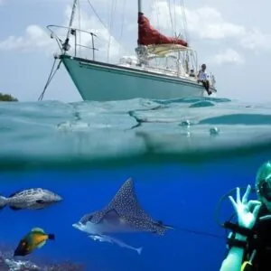 Antigua Scuba School