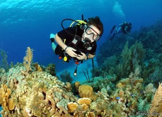 Divers Down