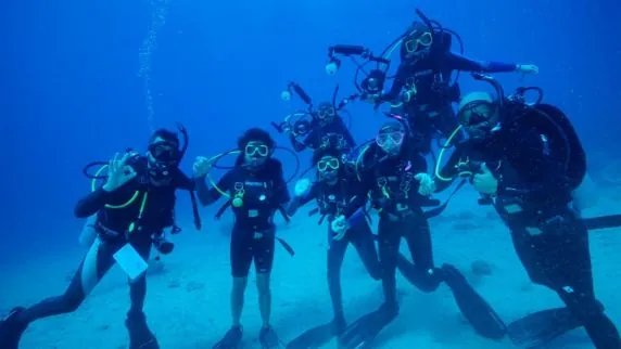 Reef Shepherd