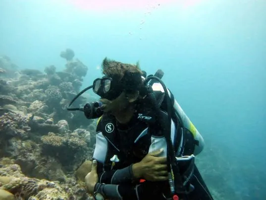 Sea Star Diving