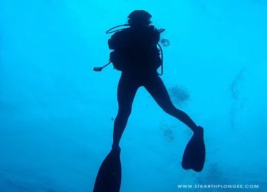St. Barth Plongee - Birdy Dive Center