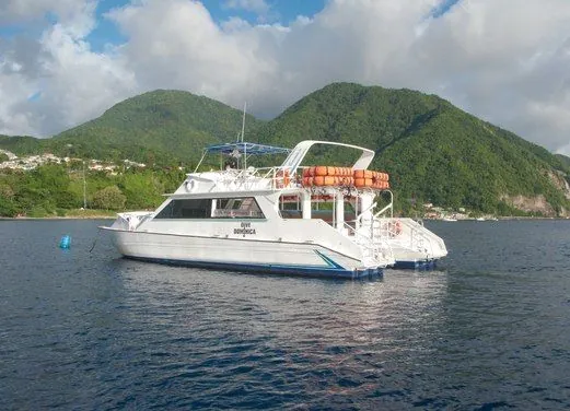 Dive Dominica