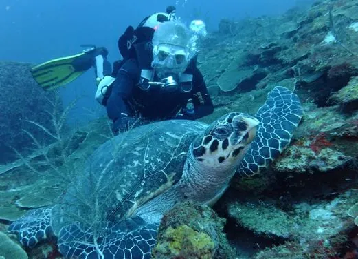 Action Adventure Divers