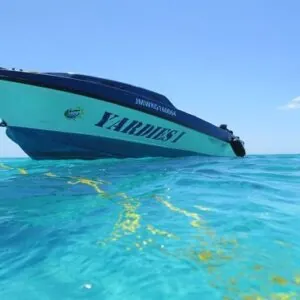 Yardie Divers
