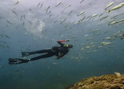 Pacific Coast Dive Center