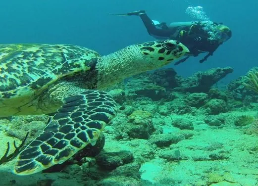 Undersea Tobago Ltd