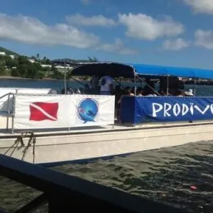 Pro Divers Inc.
