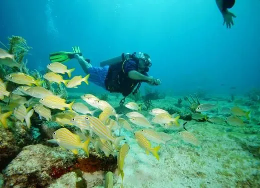 Scuba Total Cancun