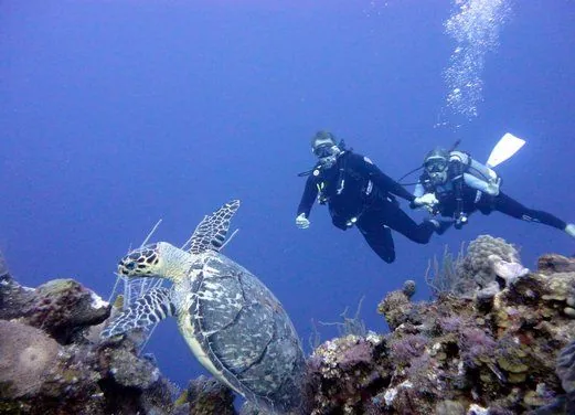 Clearwater Adventures