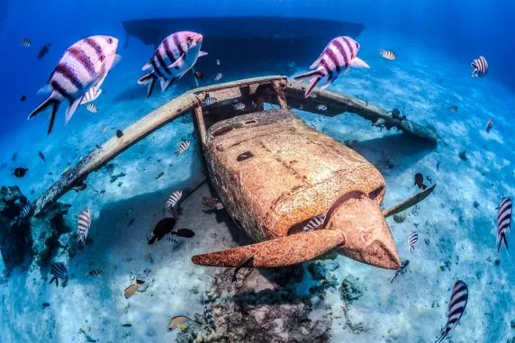Topdive Tahiti