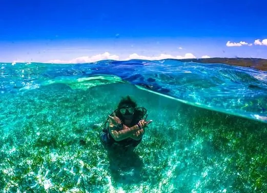 Marina Blue Haiti