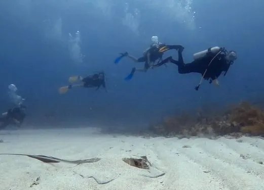 Dos Tiburones Dive Shop