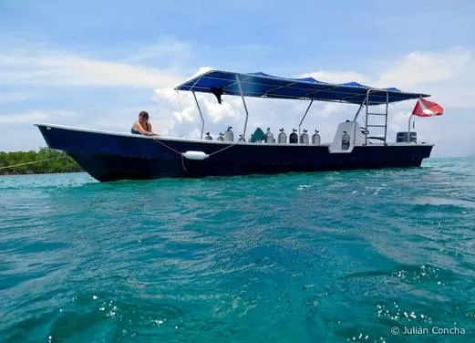 Bocas Dive Center