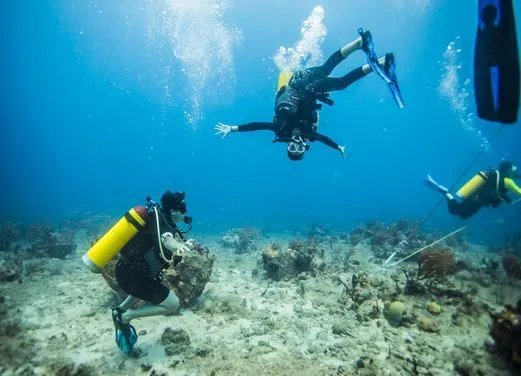 Sunchaser Scuba