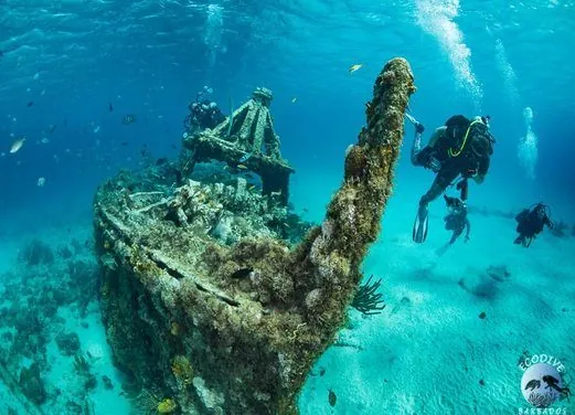 Eco Dive Barbados