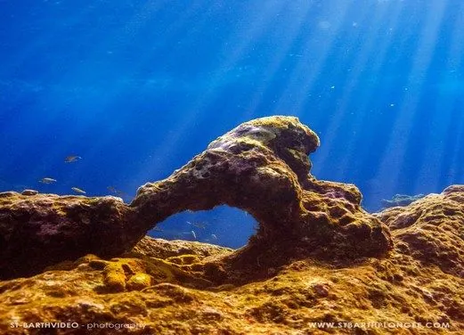 St. Barth Plongee - Birdy Dive Center