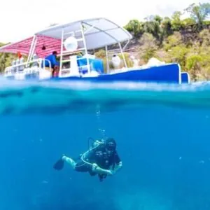 Eco Dive
