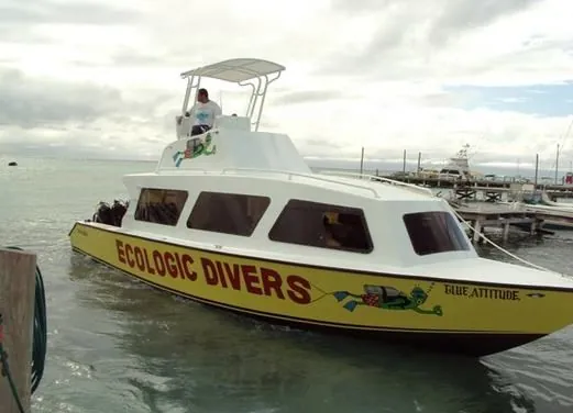 Ecologic Divers