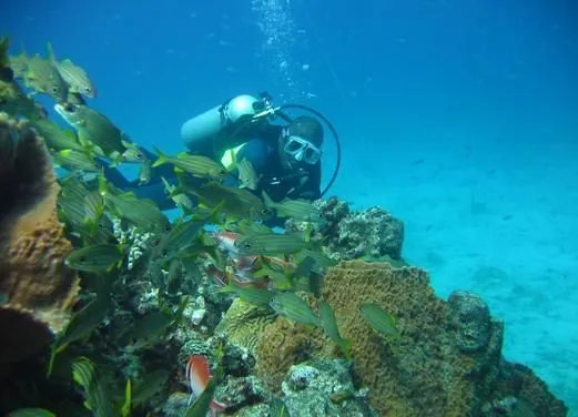 Iyanola Dive Ventures