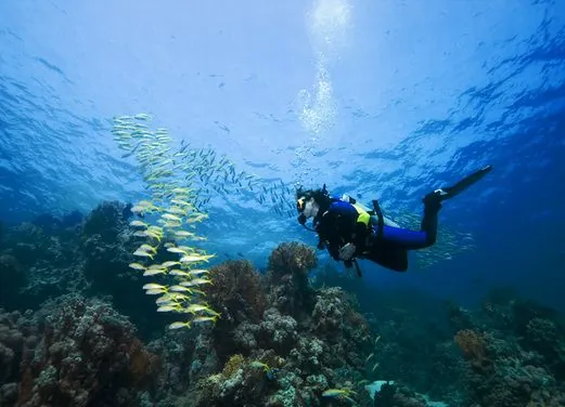 Scuba Shack